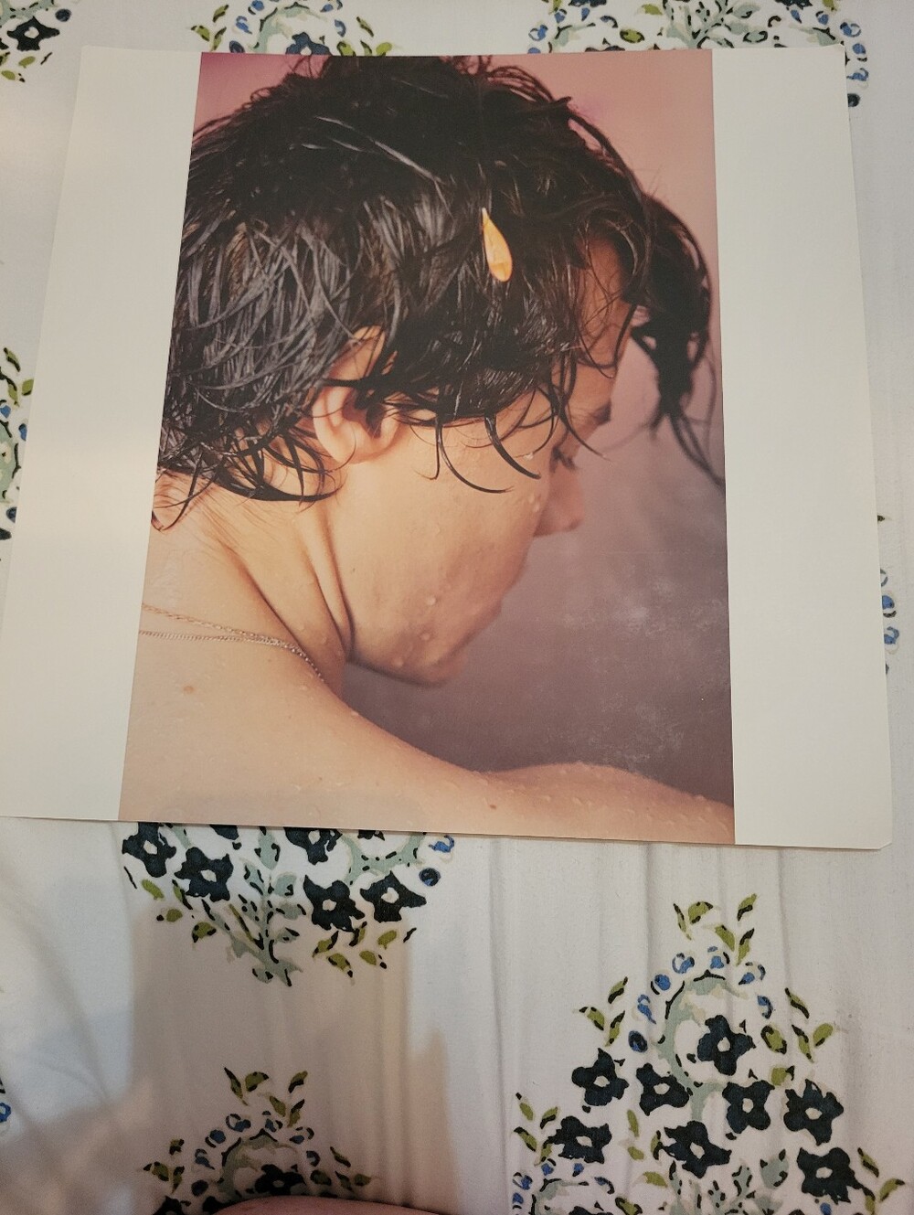 Harry Styles Images - Picture 5 of 5